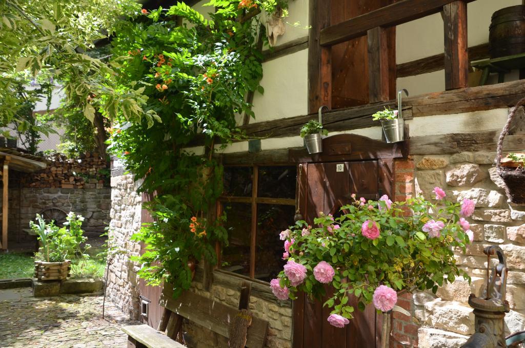 Hotel & Cafe Mohrenbrunnen 아이젠베르크 외부 사진
