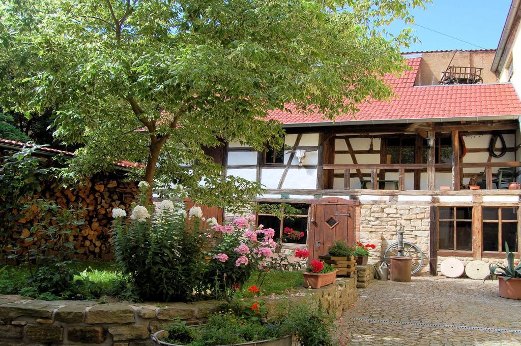 Hotel & Cafe Mohrenbrunnen 아이젠베르크 외부 사진